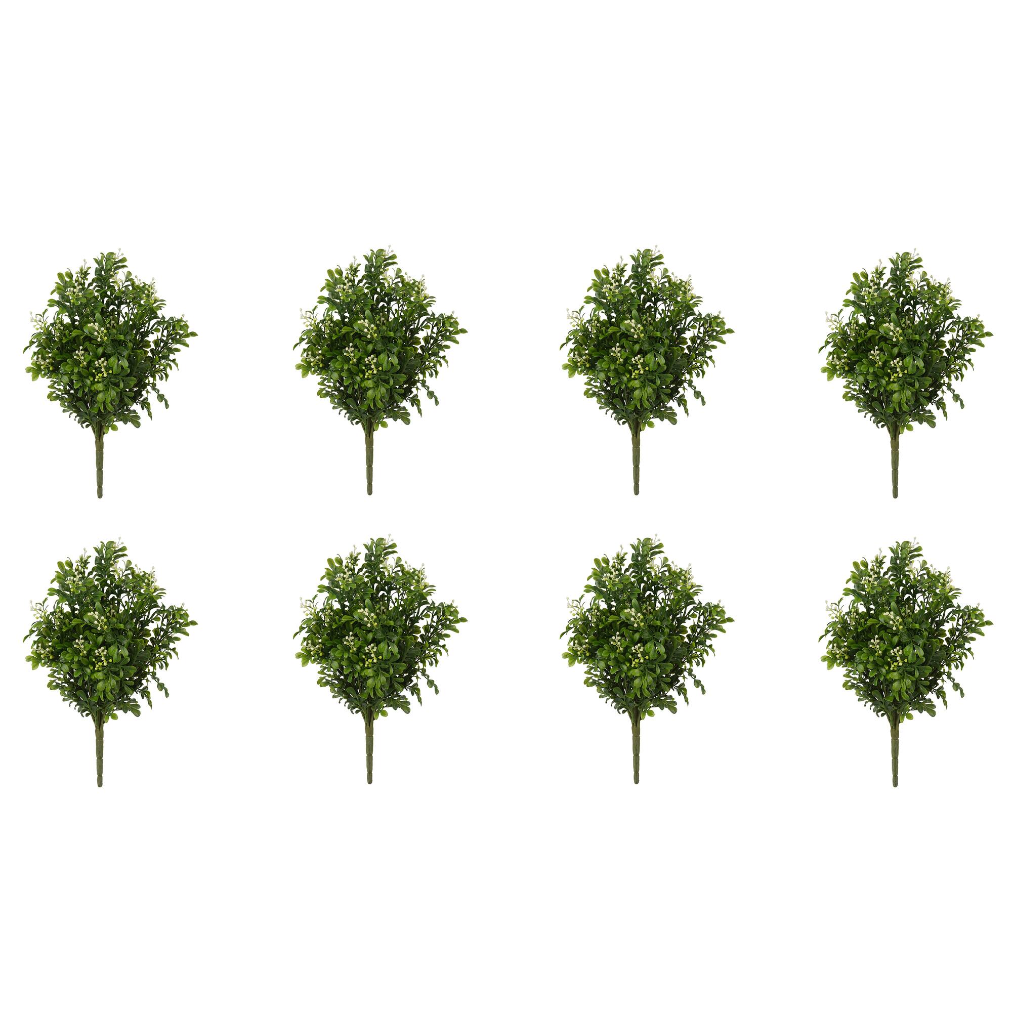 8 Pack: Boxwood & Berry Bush by Ashland®